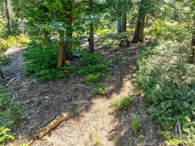 7199 Manzanita Lane, Yosemite, California 95389