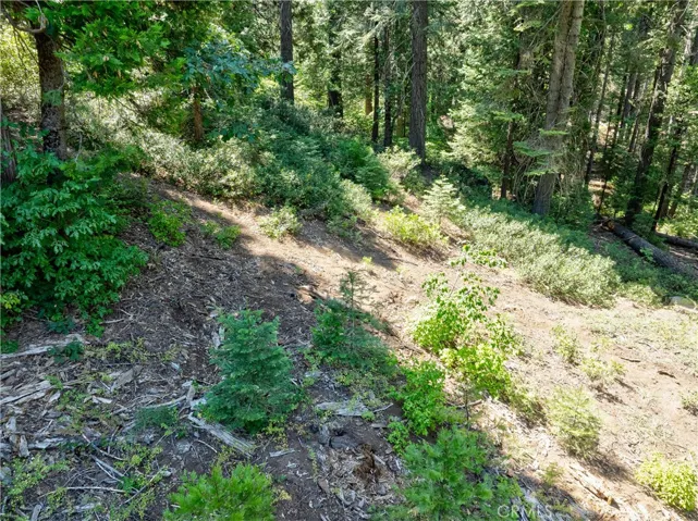 7199 Manzanita Lane, Yosemite, California 95389