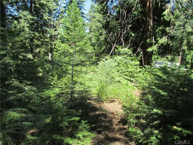 7199 Manzanita Lane, Yosemite, California 95389