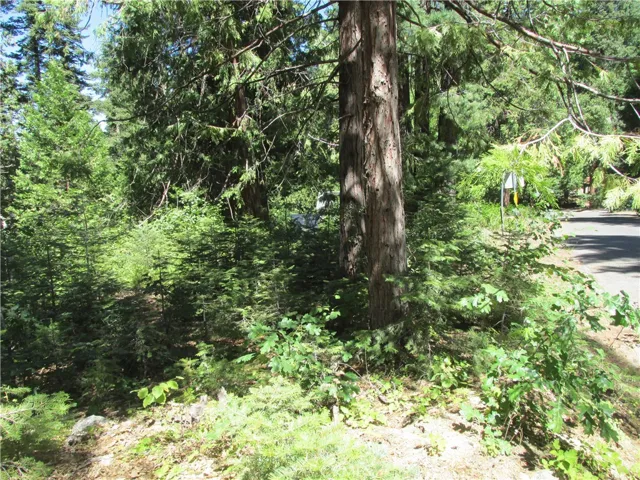 7199 Manzanita Lane, Yosemite, California 95389