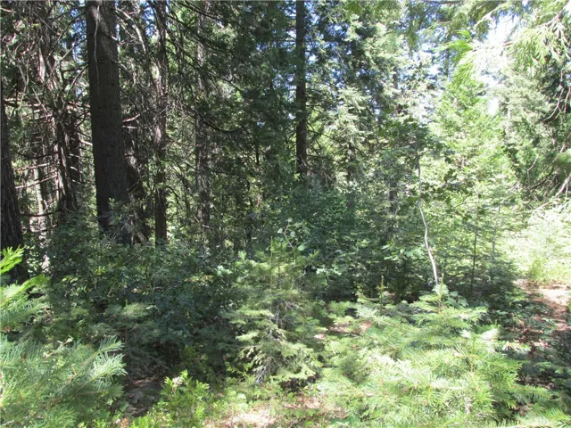7199 Manzanita Lane, Yosemite, California 95389