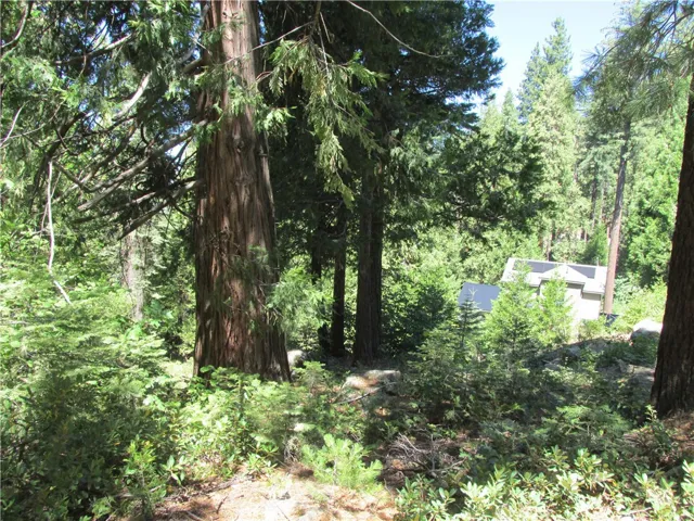 7199 Manzanita Lane, Yosemite, California 95389