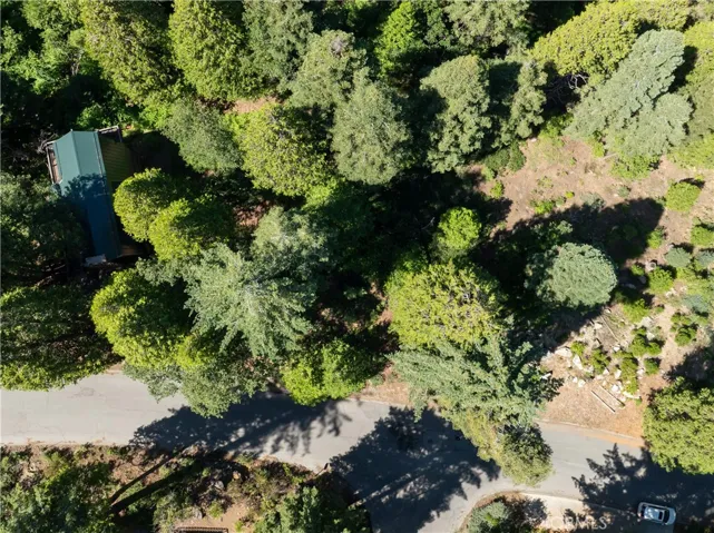 7199 Manzanita Lane, Yosemite, California 95389