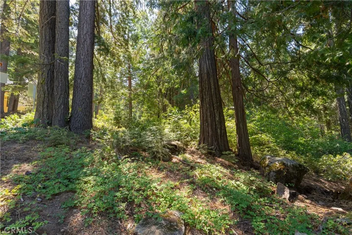 7199 Manzanita Lane, Yosemite, California 95389