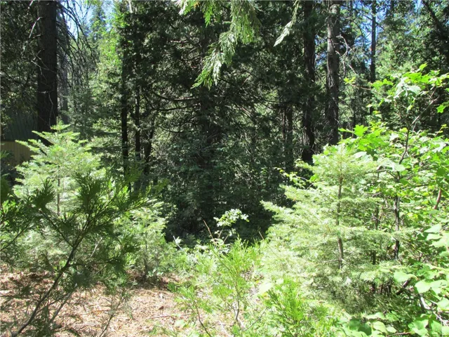7199 Manzanita Lane, Yosemite, California 95389