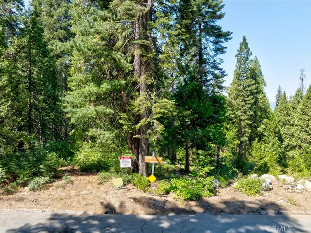 7199 Manzanita Lane, Yosemite, California 95389