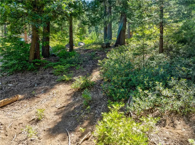 7199 Manzanita Lane, Yosemite, California 95389