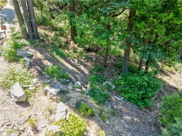 7199 Manzanita Lane, Yosemite, California 95389