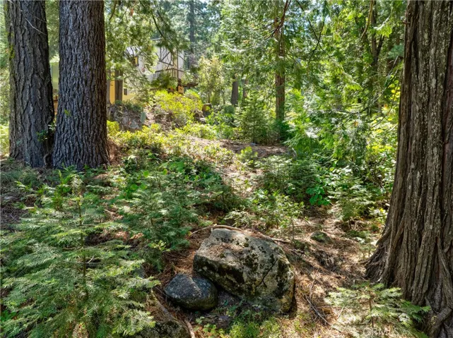 7199 Manzanita Lane, Yosemite, California 95389