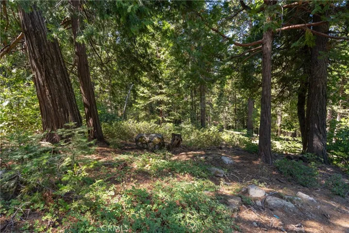 7199 Manzanita Lane, Yosemite, California 95389