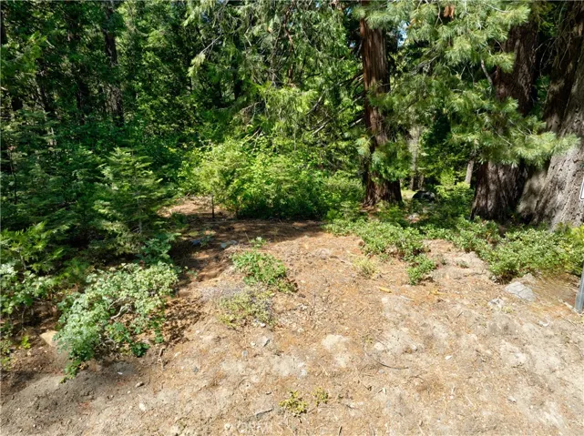 7199 Manzanita Lane, Yosemite, California 95389