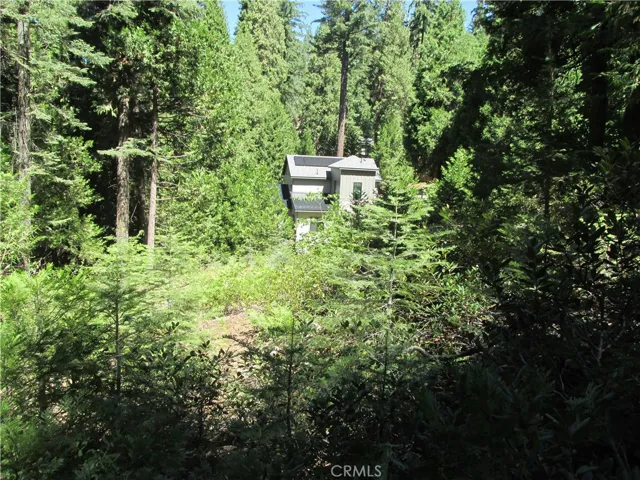 7199 Manzanita Lane, Yosemite, California 95389