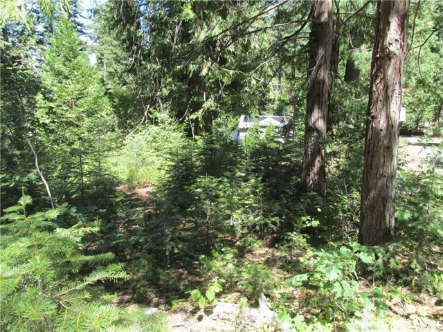 7199 Manzanita Lane, Yosemite, California 95389