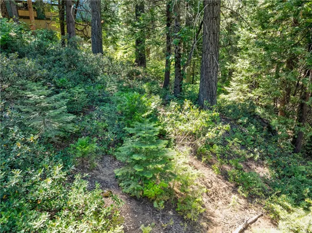 7199 Manzanita Lane, Yosemite, California 95389