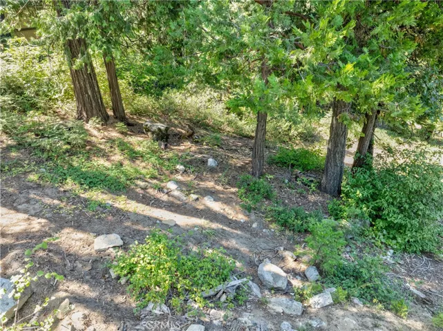 7199 Manzanita Lane, Yosemite, California 95389