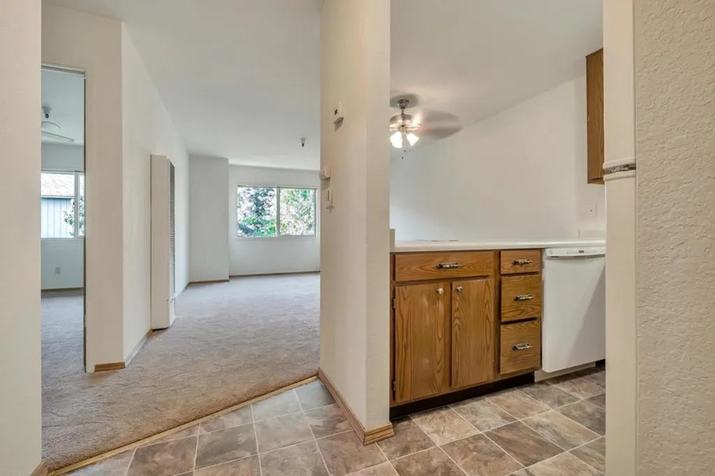 203 Vista Prieta Ct