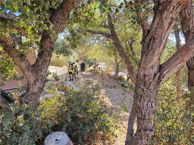3131 Whispering Pines Rd, Pinon Hills, California 92397