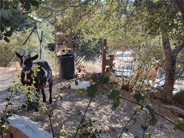 3131 Whispering Pines Rd, Pinon Hills, California 92397