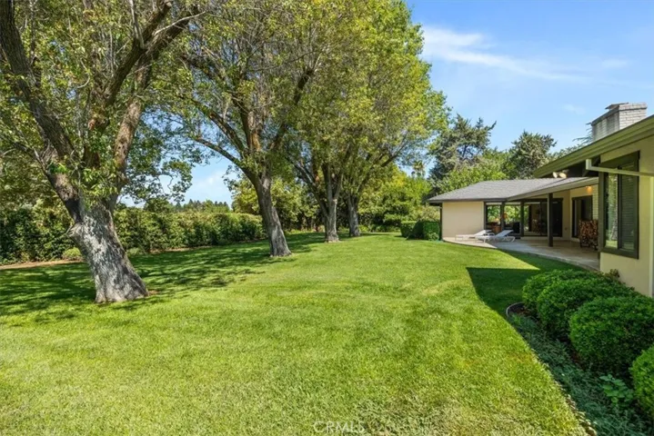 Back yard
