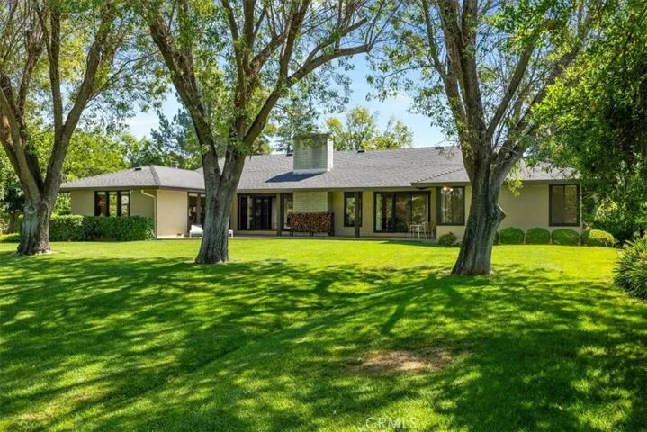 Back yard oasis