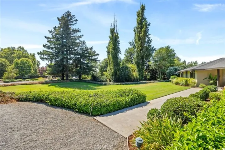 Mature landscaping. Walkway up to the house