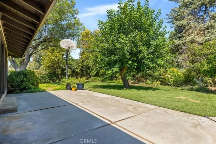 Back patio