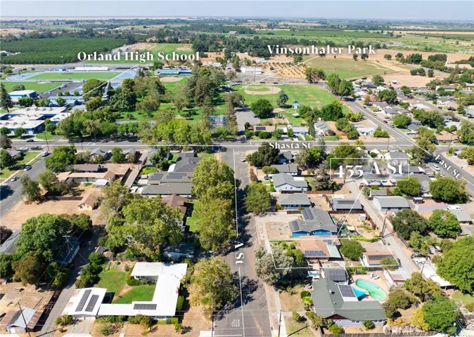 Birds View