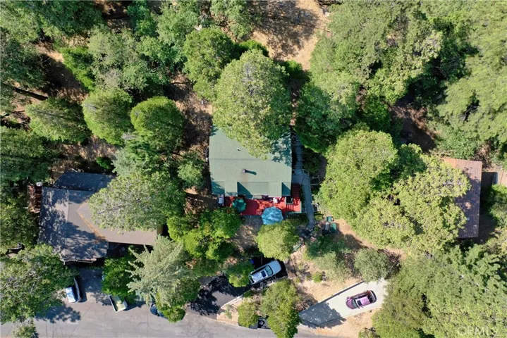 24201 Horst Drive, Crestline, California 92325