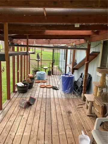 Outside "Catio" detached structure for your cats, if desired.