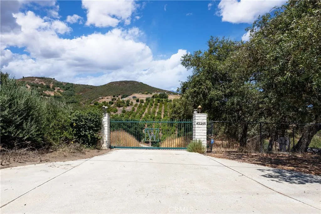 42253 Via Nortada, Temecula, California 92590 home-pic-53