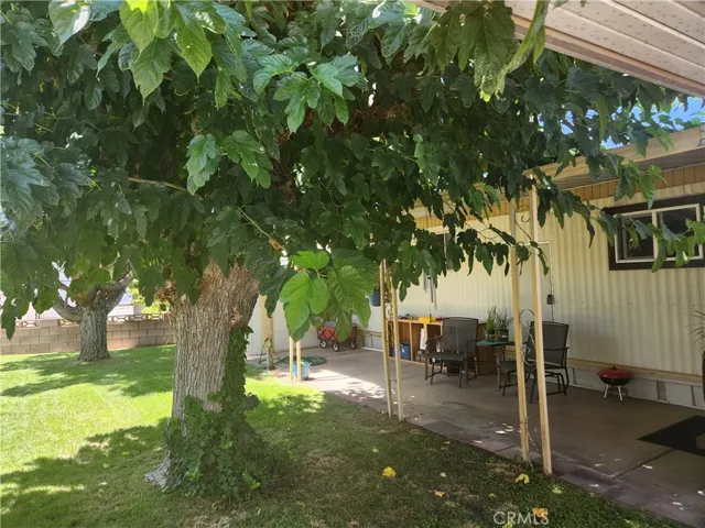Large shade trees park maintained!