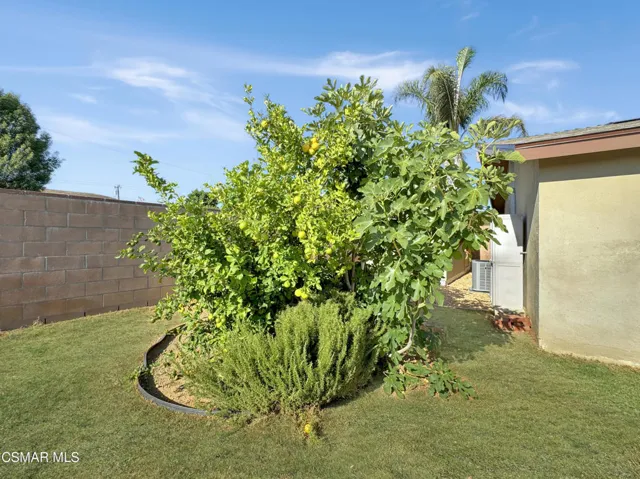 9.9 LemonTree