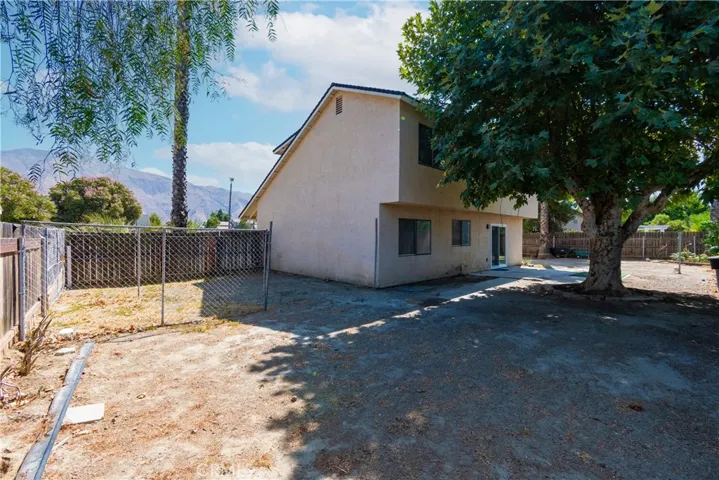 Back yard