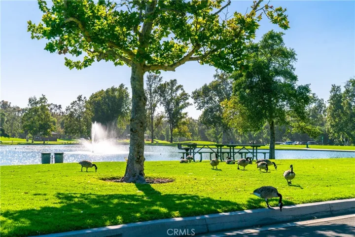 12 Viejo, Irvine, California 92612