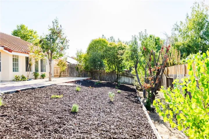 Back yard