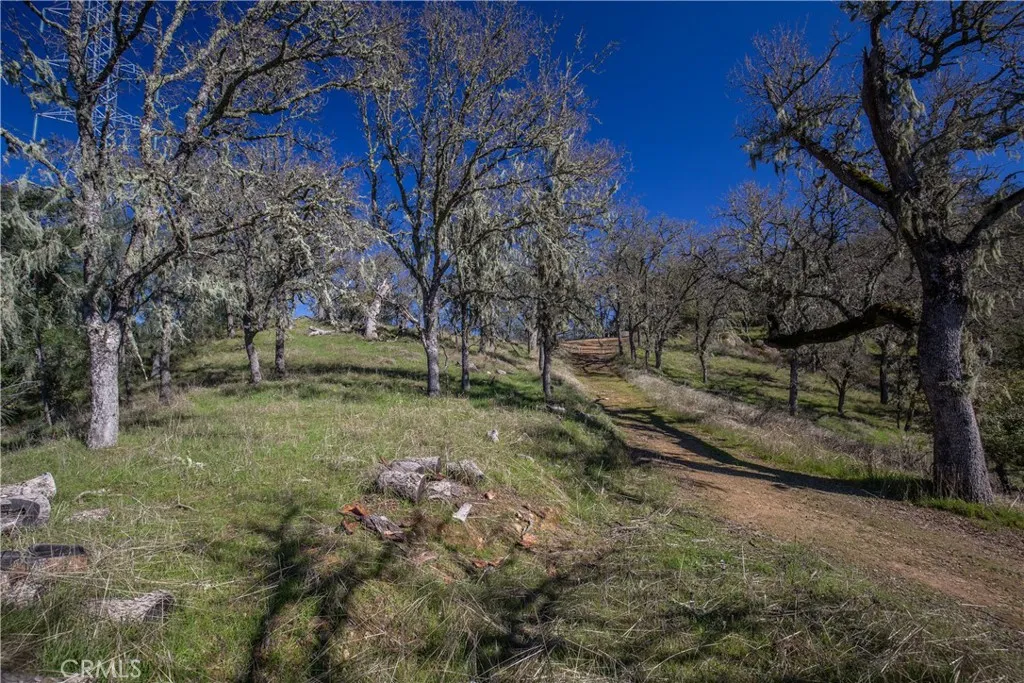 4555 Las Pilitas Road, Santa Margarita, California 93453 home-pic-22