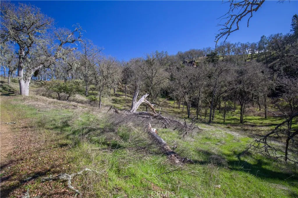 4555 Las Pilitas Road, Santa Margarita, California 93453 home-pic-17