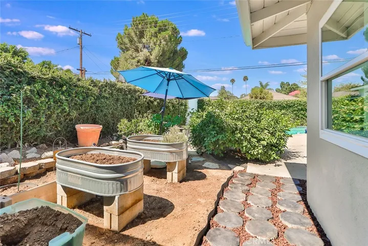 Backyard garden with lemon tree