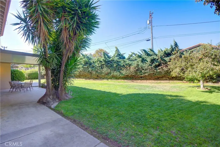 Privat Backyard
