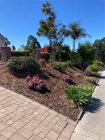 Front yard