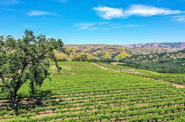 18820 Cachagua Road, Carmel Valley, California 93924