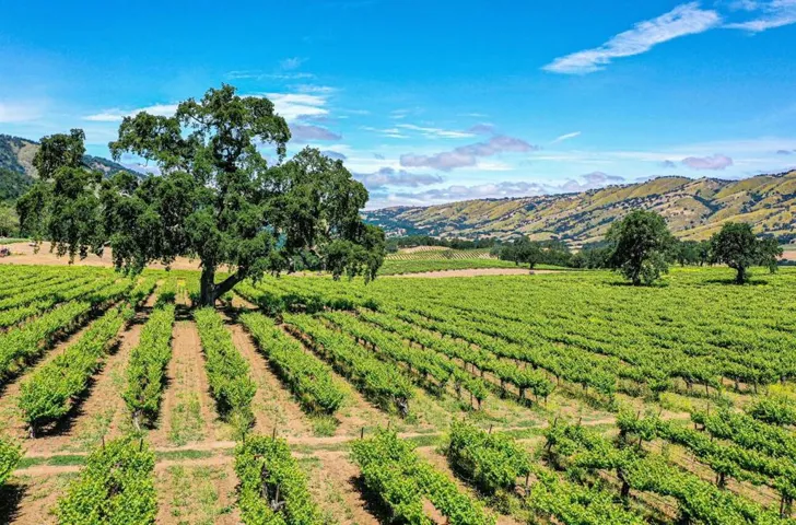 18820 Cachagua Road, Carmel Valley, California 93924