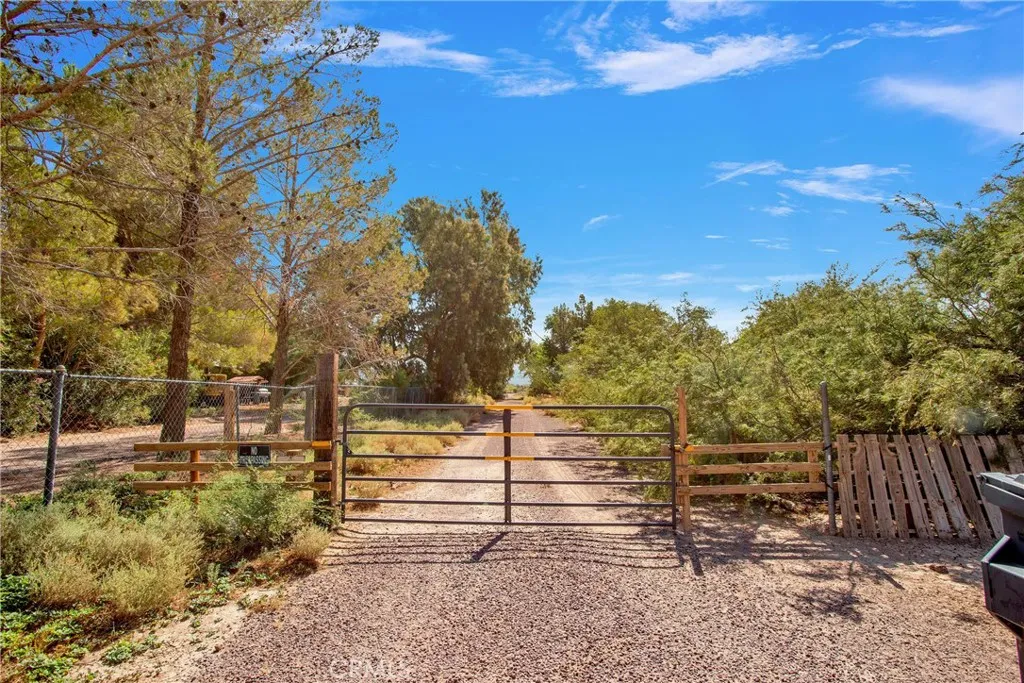 31011 Aleppo Lane, Newberry Springs, California 92365 home-pic-52