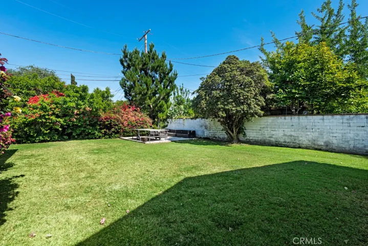 Yard view from patio