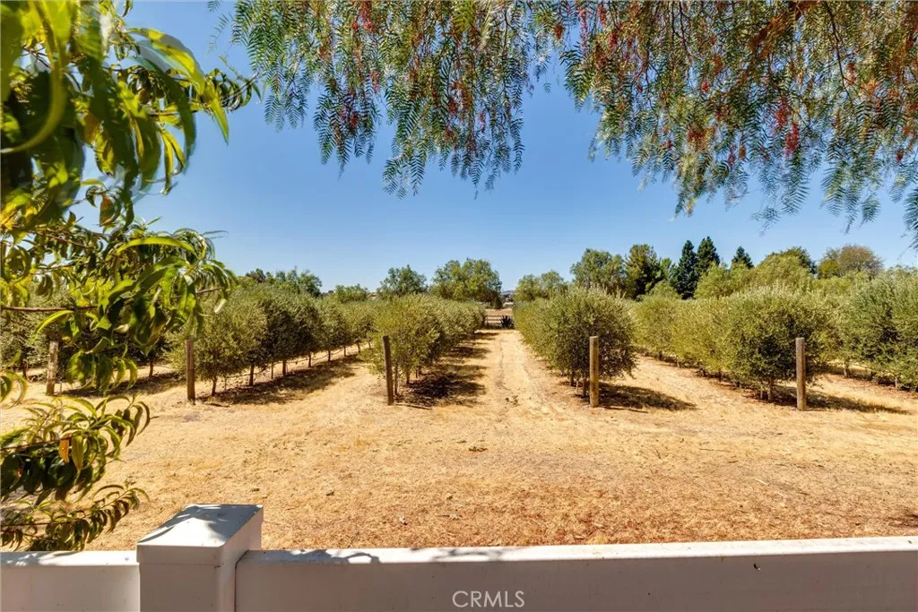 5055 Rancho La Loma Linda Drive, Paso Robles, California 93446 home-pic-30