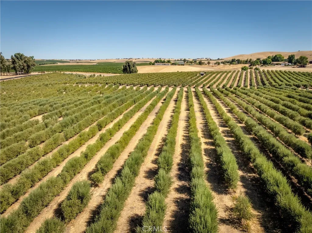 5055 Rancho La Loma Linda Drive, Paso Robles, California 93446 home-pic-4