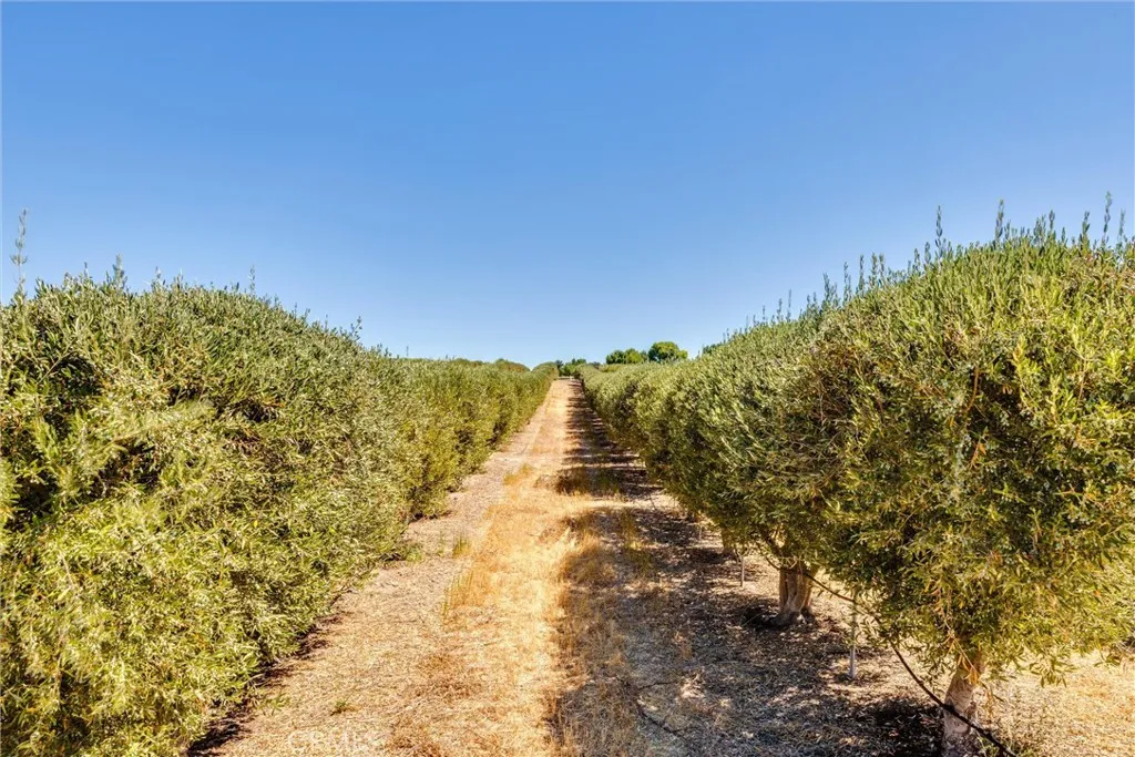 5055 Rancho La Loma Linda Drive, Paso Robles, California 93446 home-pic-39
