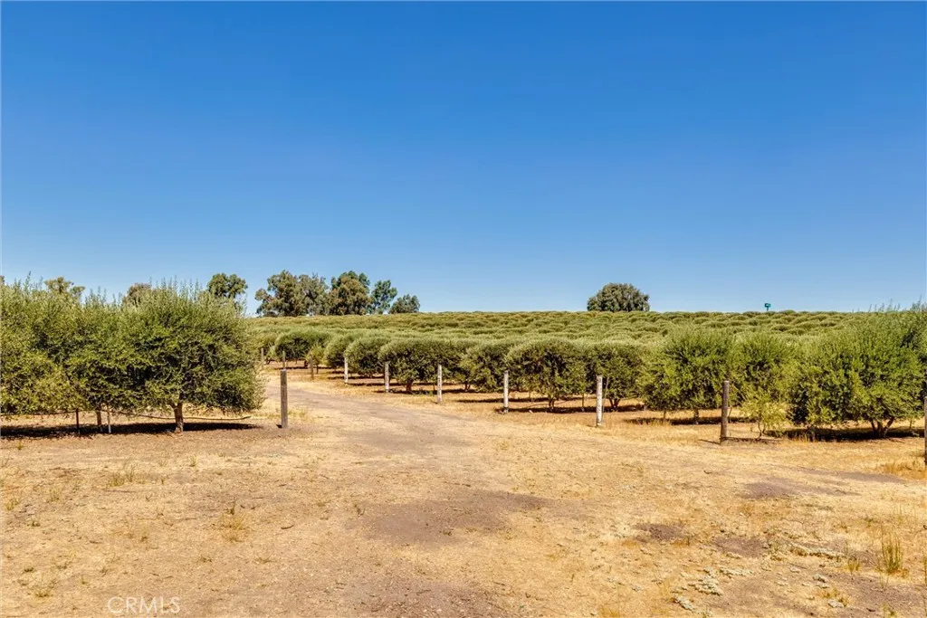 5055 Rancho La Loma Linda Drive, Paso Robles, California 93446 home-pic-25
