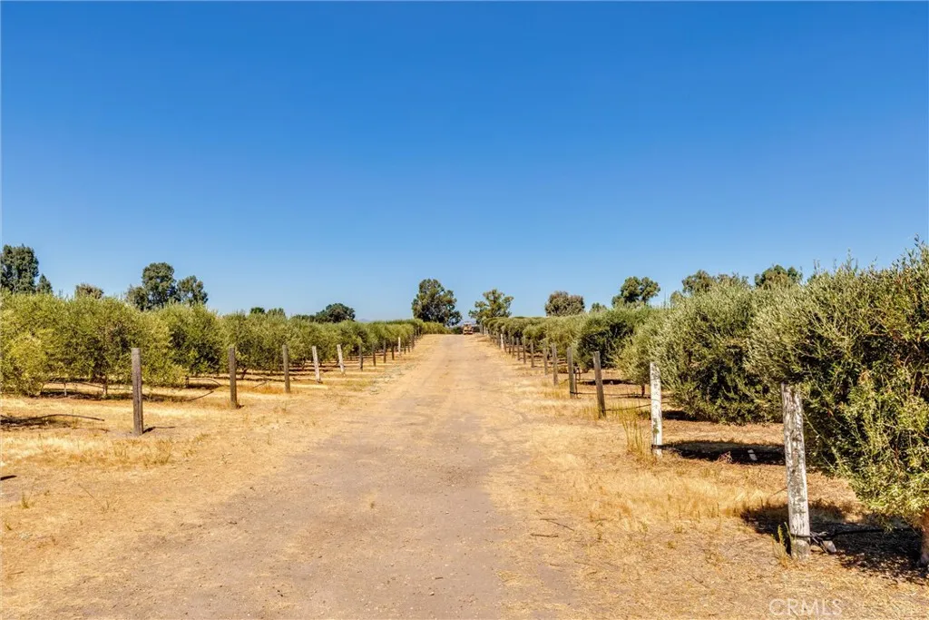 5055 Rancho La Loma Linda Drive, Paso Robles, California 93446 home-pic-26