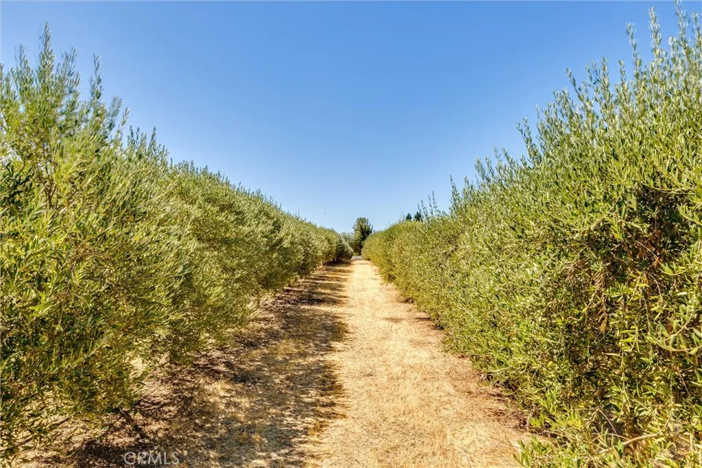 5055 Rancho La Loma Linda Drive, Paso Robles, California 93446 home-pic-38